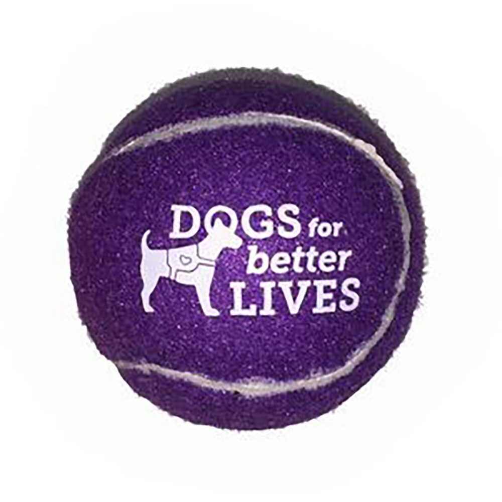 Pet Fetch Toy Tennis Ball 1