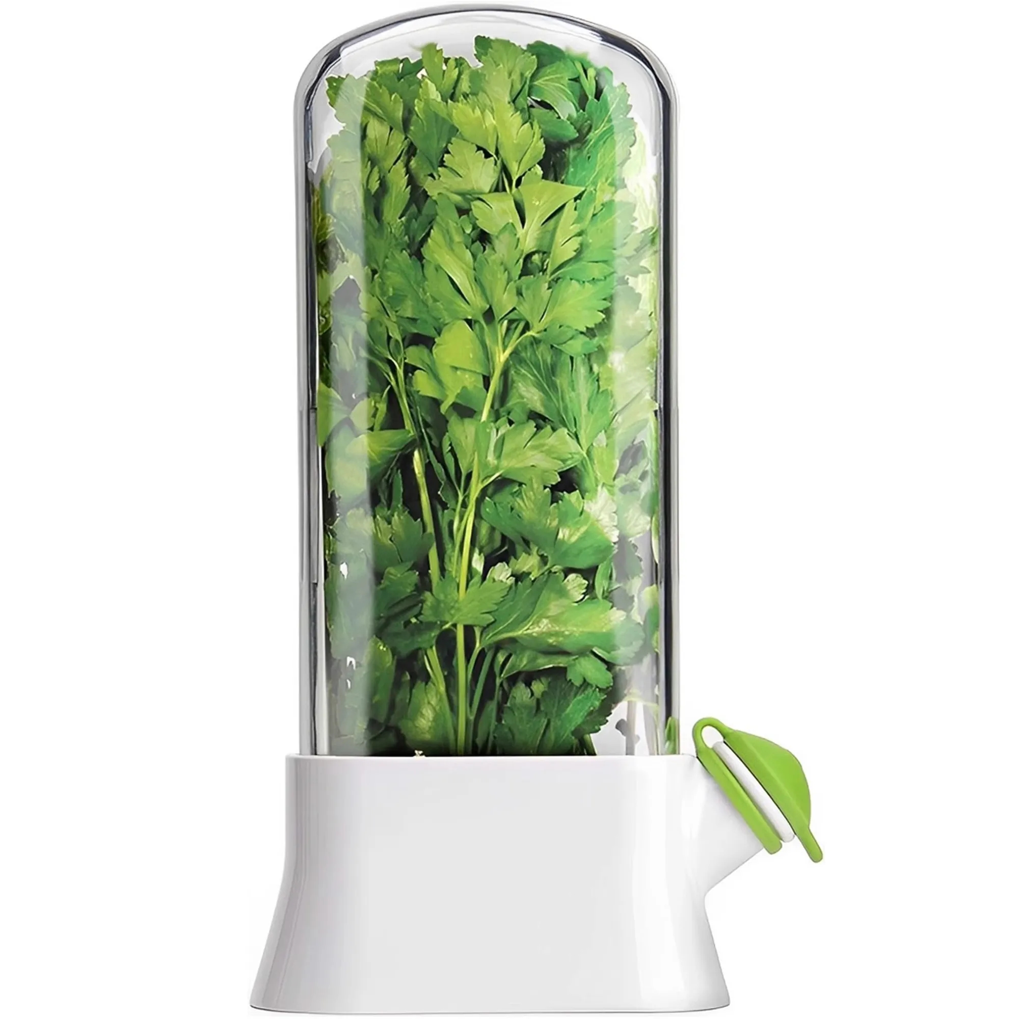 Custom Logo Herb & Vegetable Fresh-Keeper Box 4