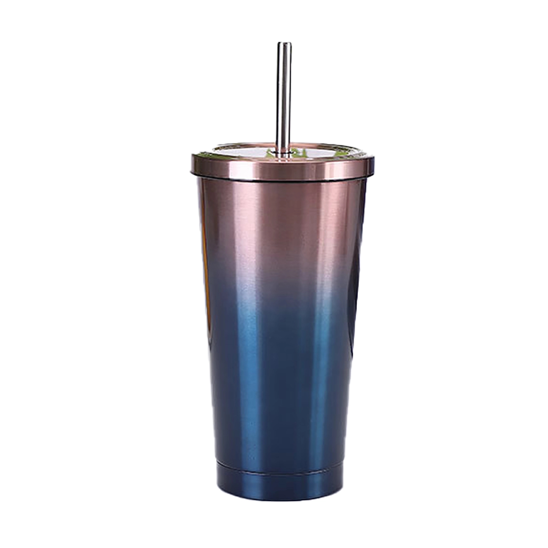 Insulated Stainless Steel Water Bottles with Straw 20 Oz 16