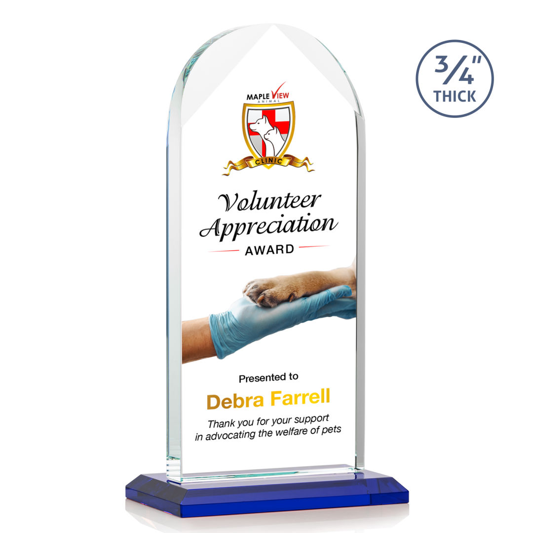 Blake VividPrint™ Award - Blue 3