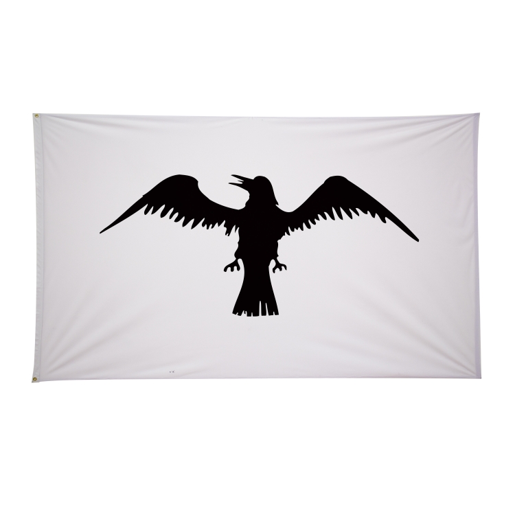 6' x 10' Historical Flags 6