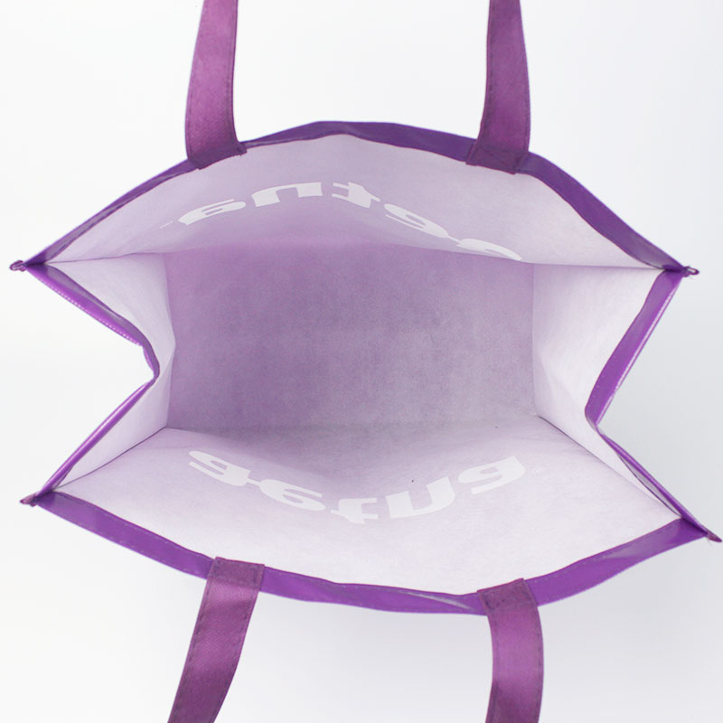 Eco Laminated Non Woven Shopping Bag 3