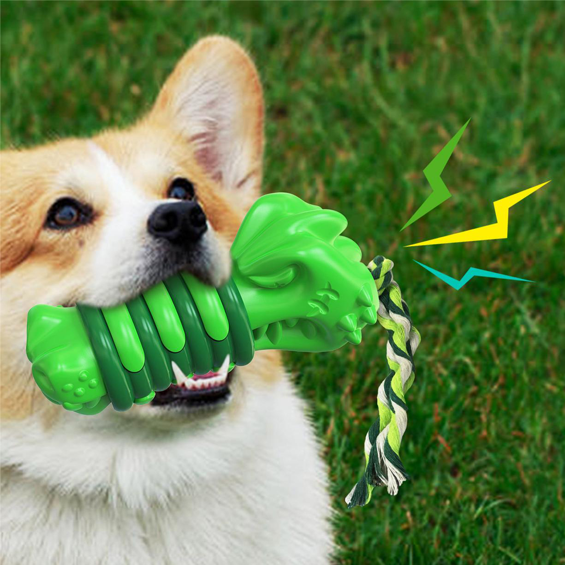 Plastic InteractivePet Chew Toys Pet Supplies 1