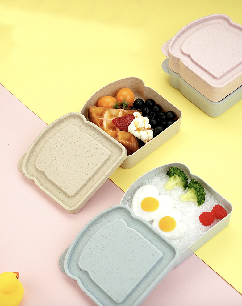 Sandwich Containers for Lunch Boxes 5