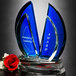 Flight Indigo Award 11