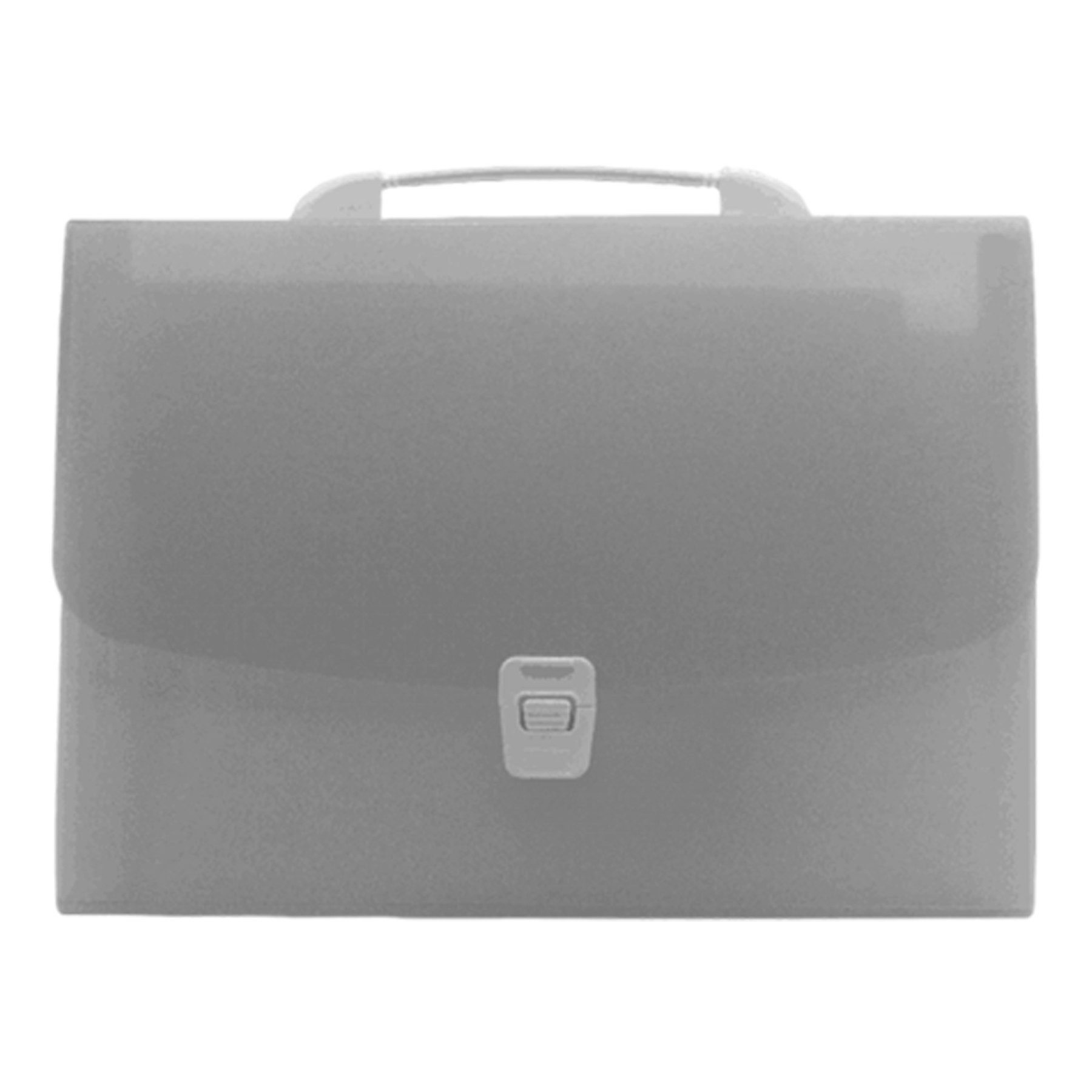 Portable Translucent Folder Bag 12