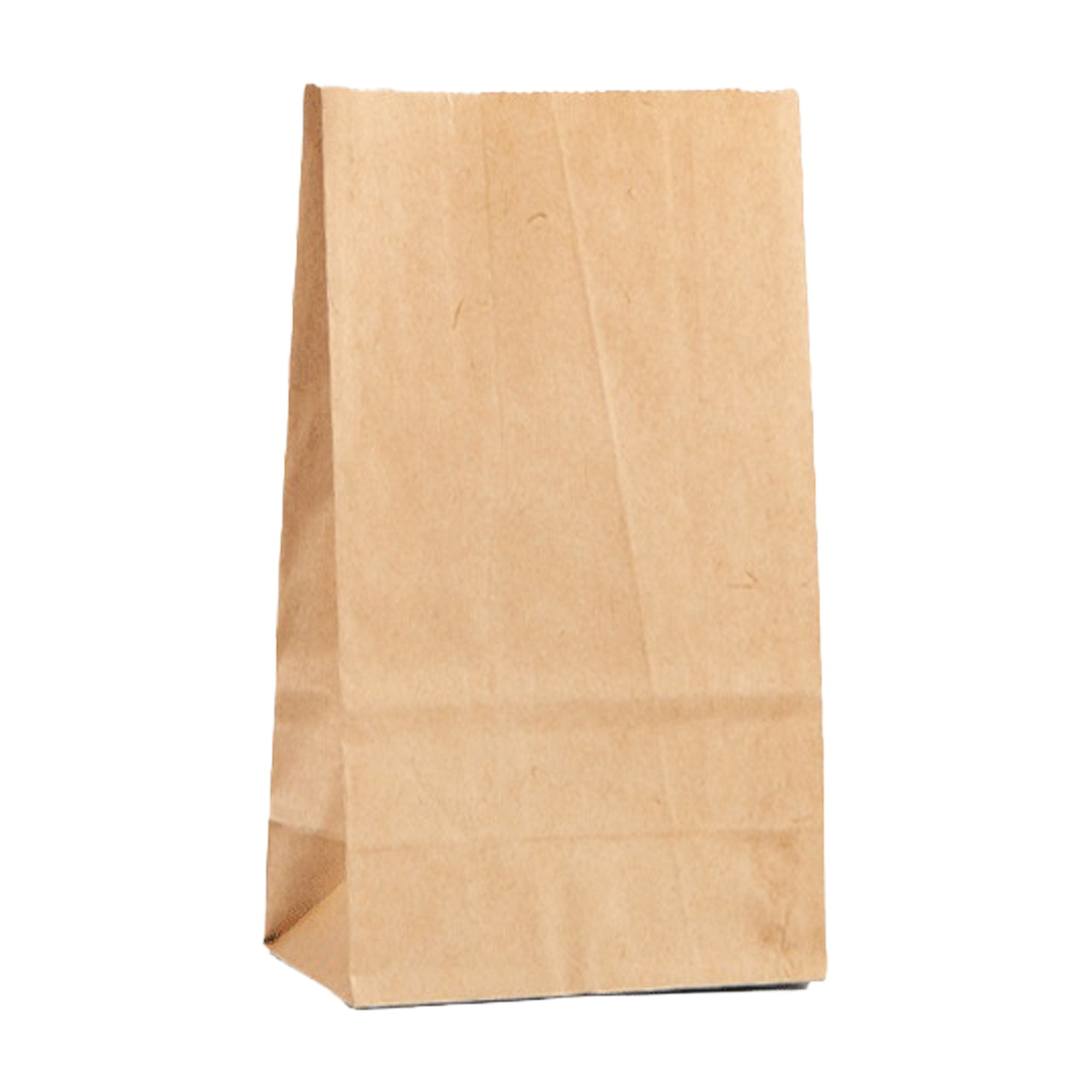 Grocery Shopping Paper Bag 12