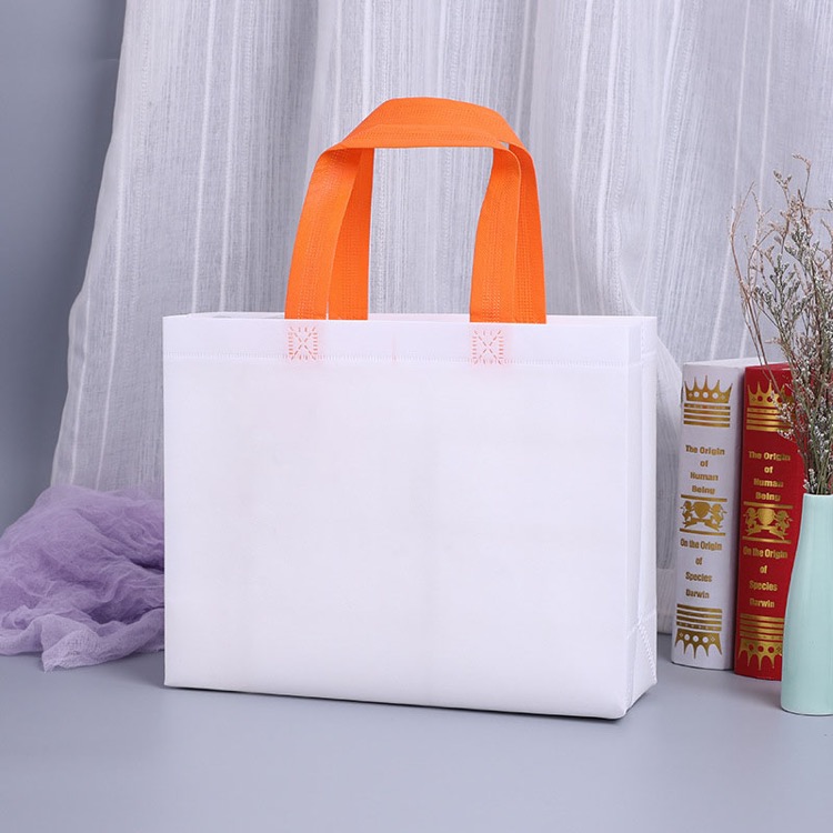 Non-woven Party Bags 5