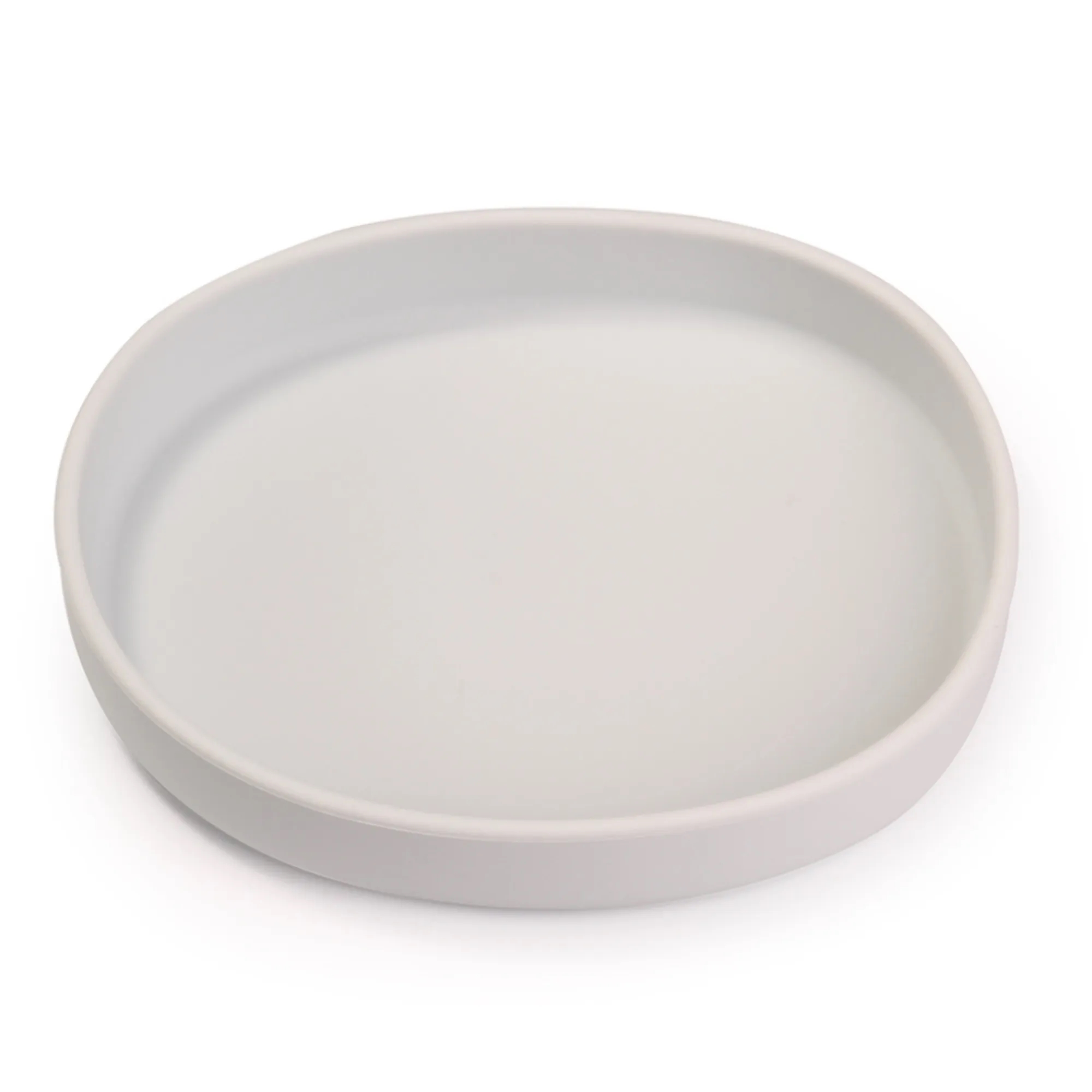 Baby-Friendly Silicone Sectioned Plate 9