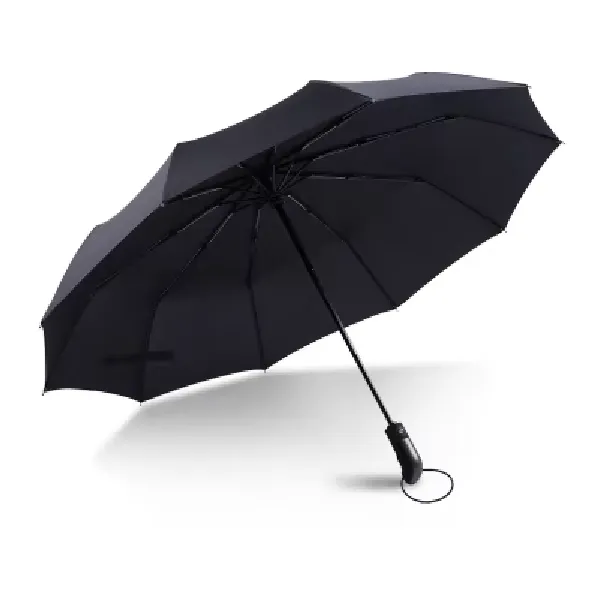 The Open Umbrella 7