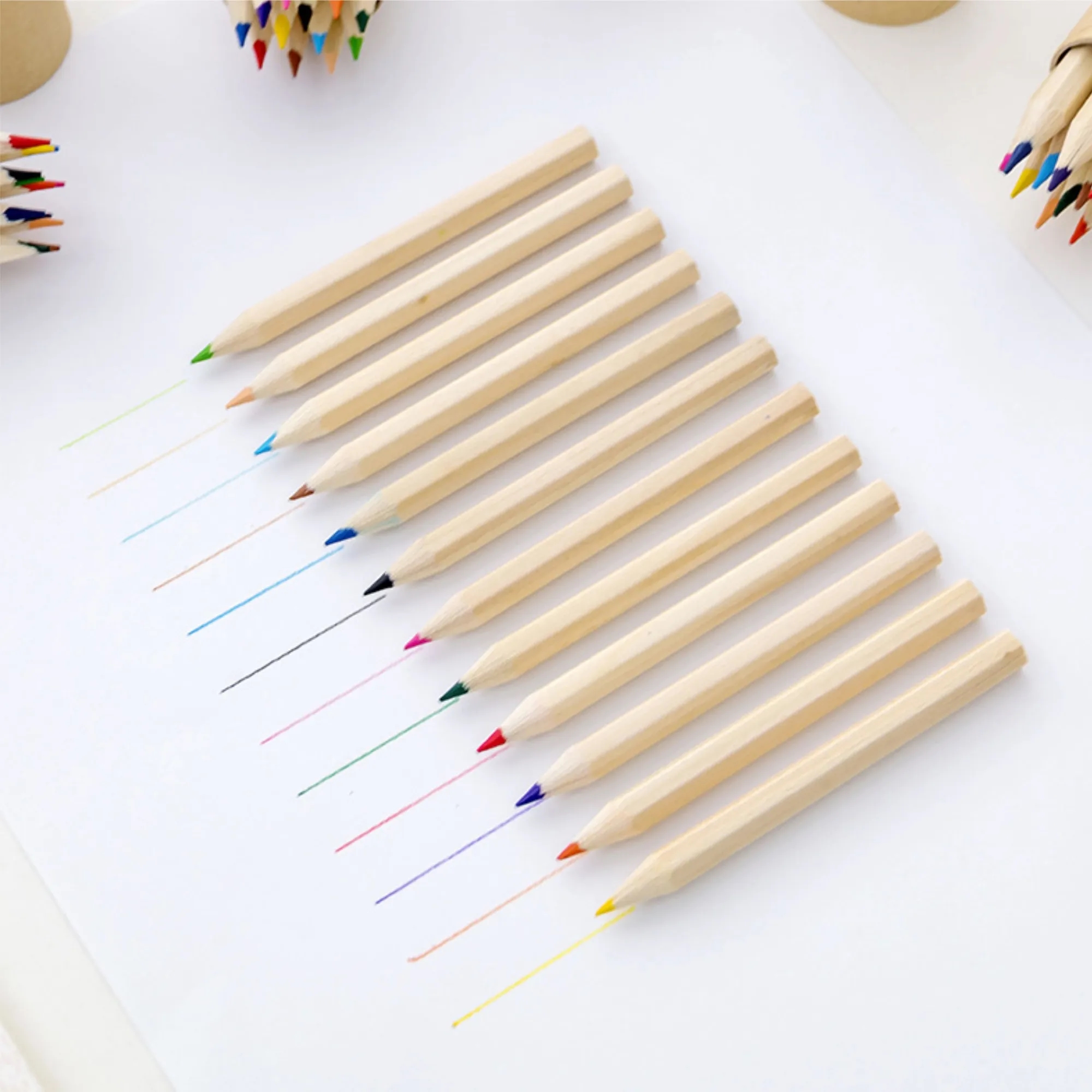 12 Color Wooden Colouring Pencils Set in Tube Art Supplies 2