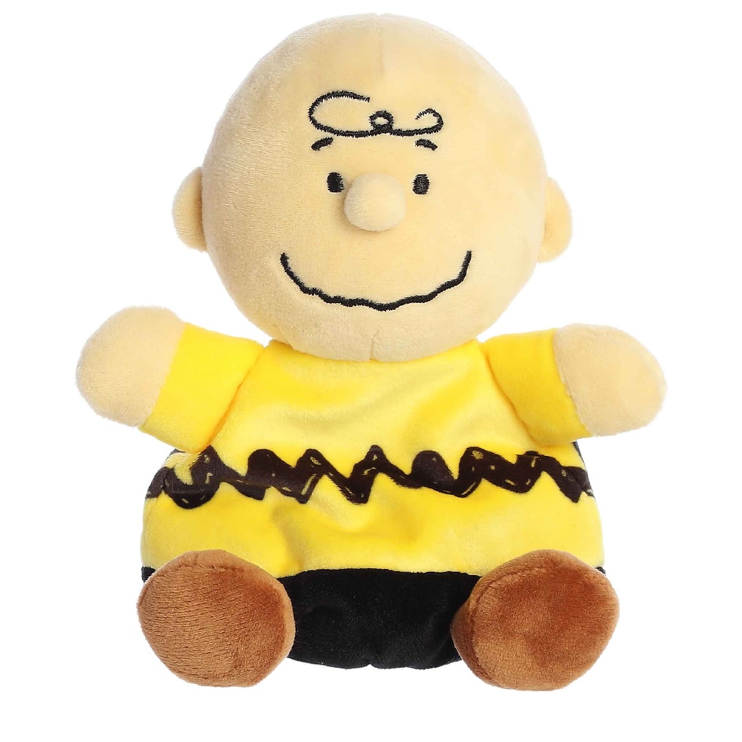 5" Bean Bag Series Peanuts Charlie Brown 1