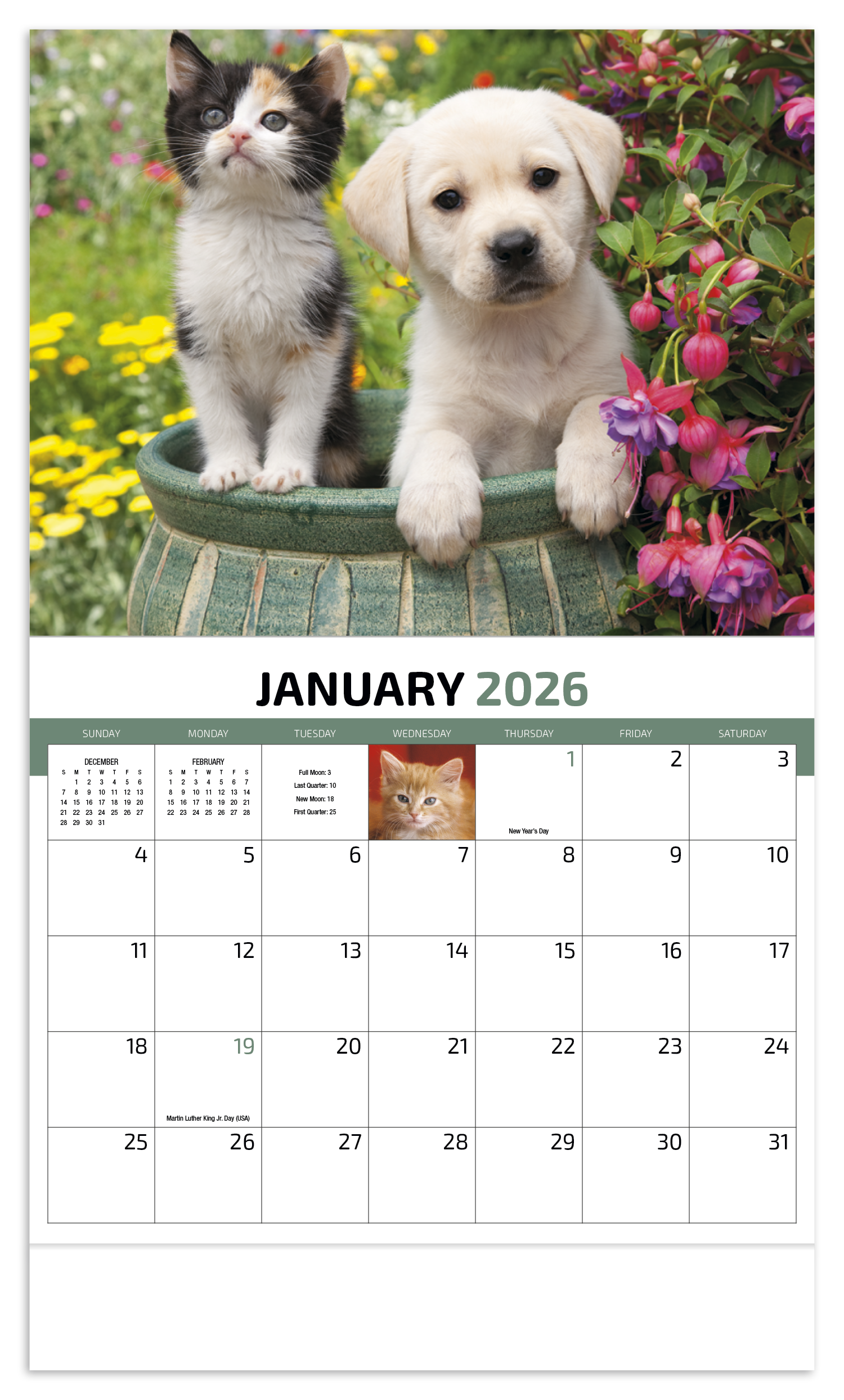 HotLine® Products Four Paws Appointment Calendar - Stapled 35