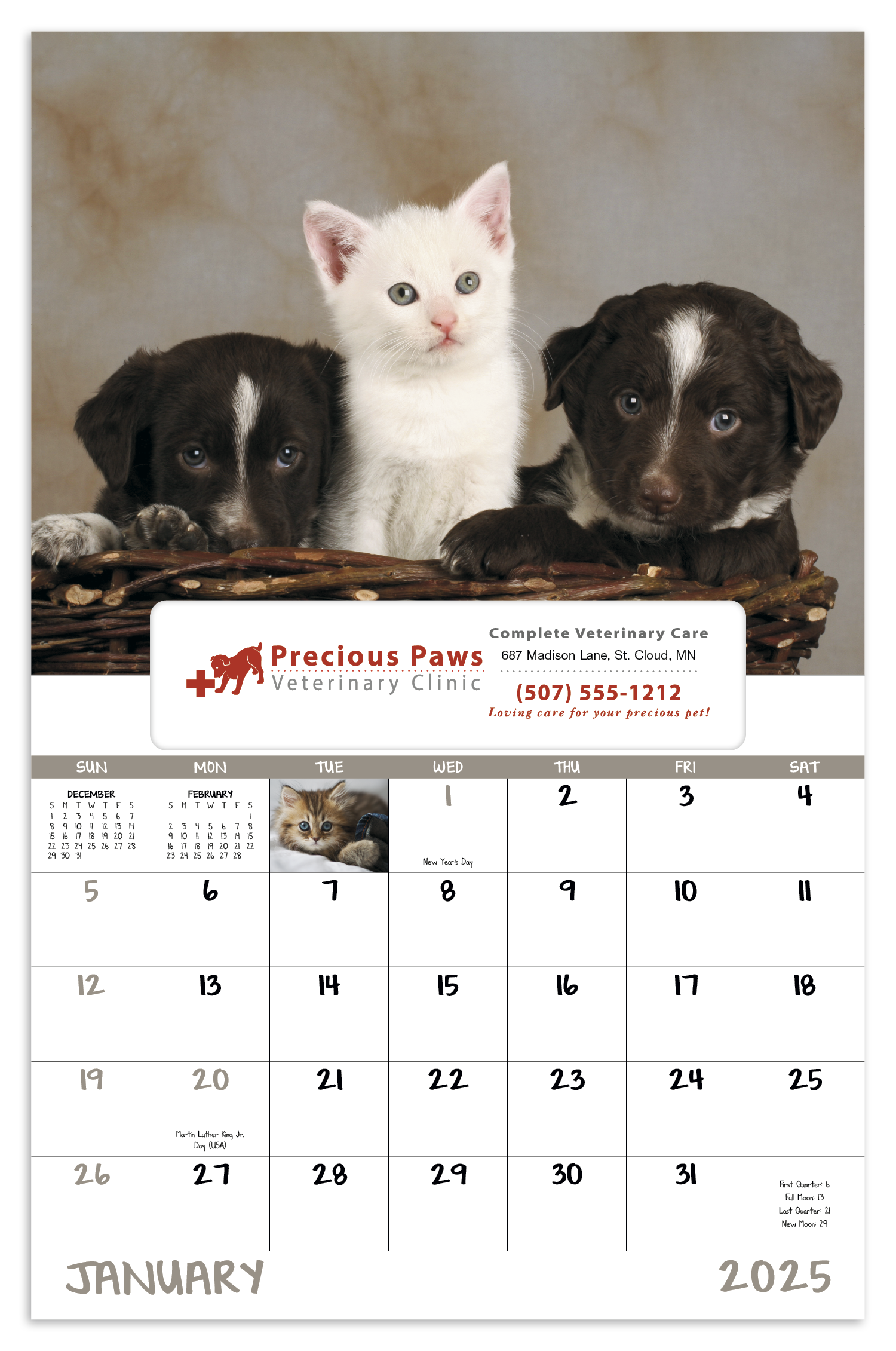 Good Value™ Puppies & Kittens - Window Calendar 14