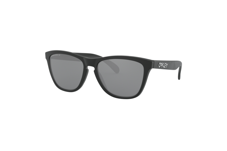 Oakley Polarized Frogskins Sunglasses 1
