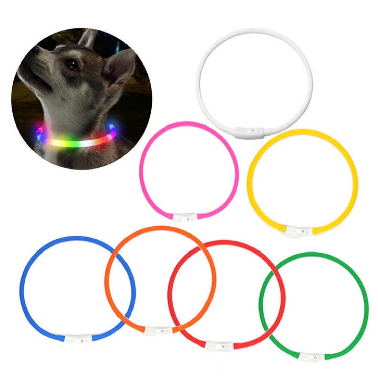 Led Dog Collar 2