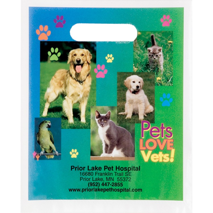 Non Reinforced Full Color Die Cut Bag 3
