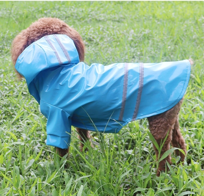 Puppy Raincoat With Cap 3