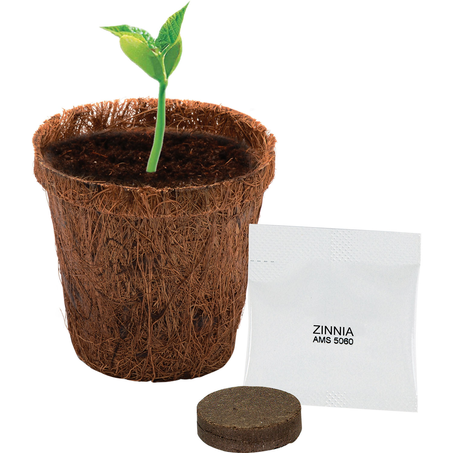 CoCo Planter Kit 3