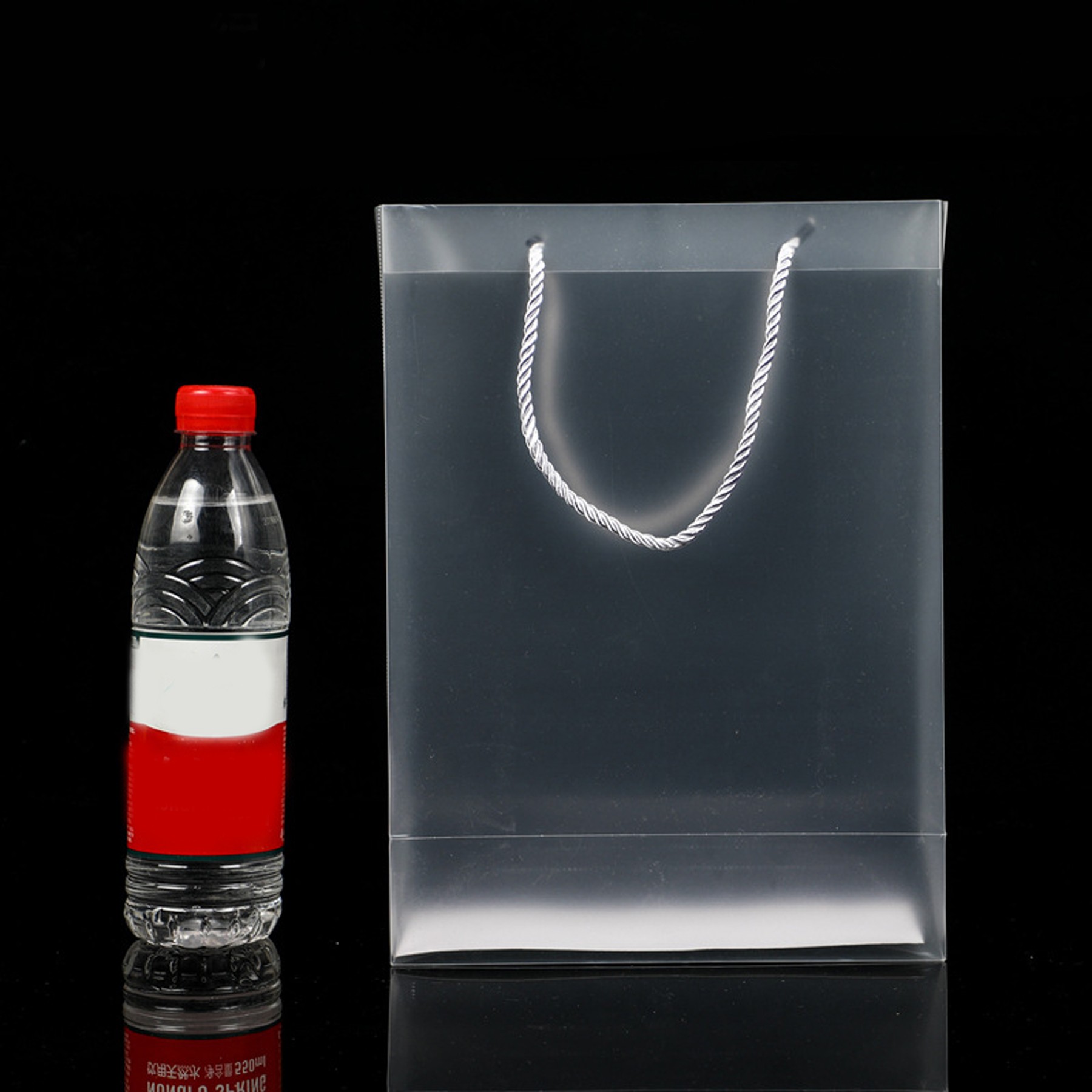 Transparent Handbag 5