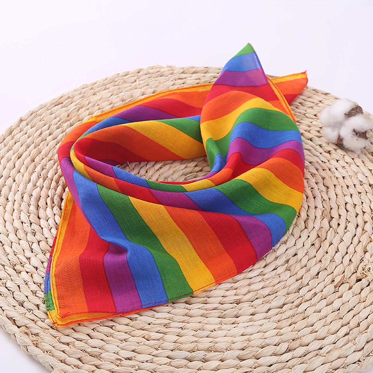 Rainbow Bandana 2