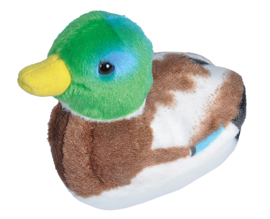 7" Audubon Mallard Duck 2