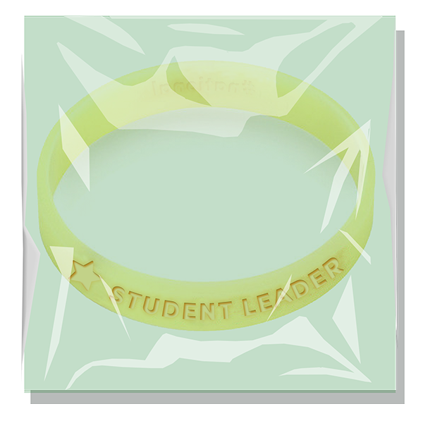 Individually Packaged Debossed Silicone Wristband 2