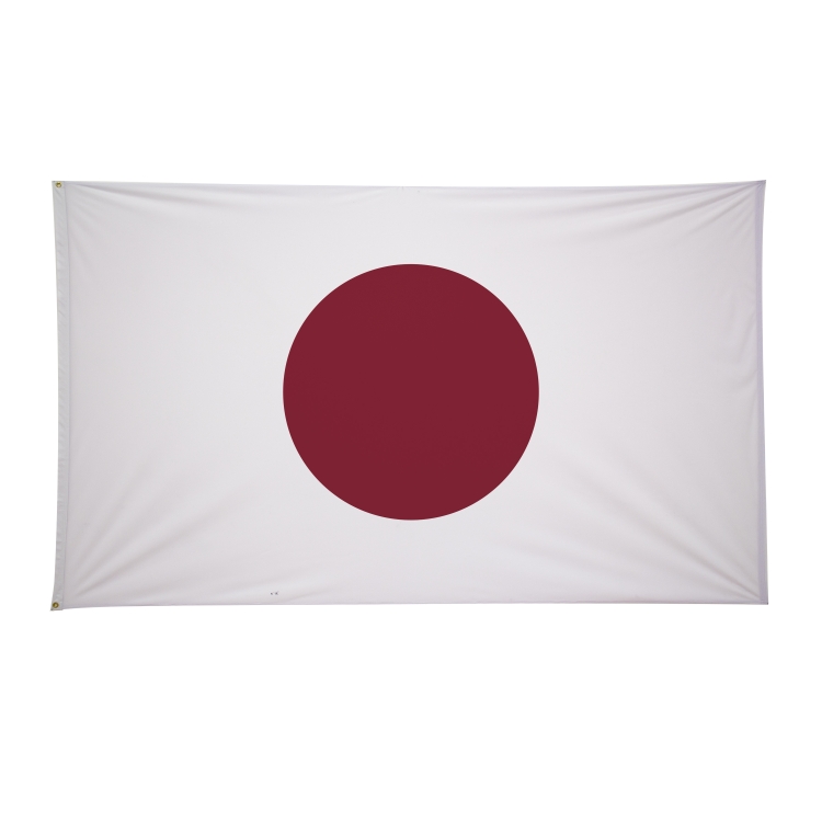 6' x 10' International Flags 218
