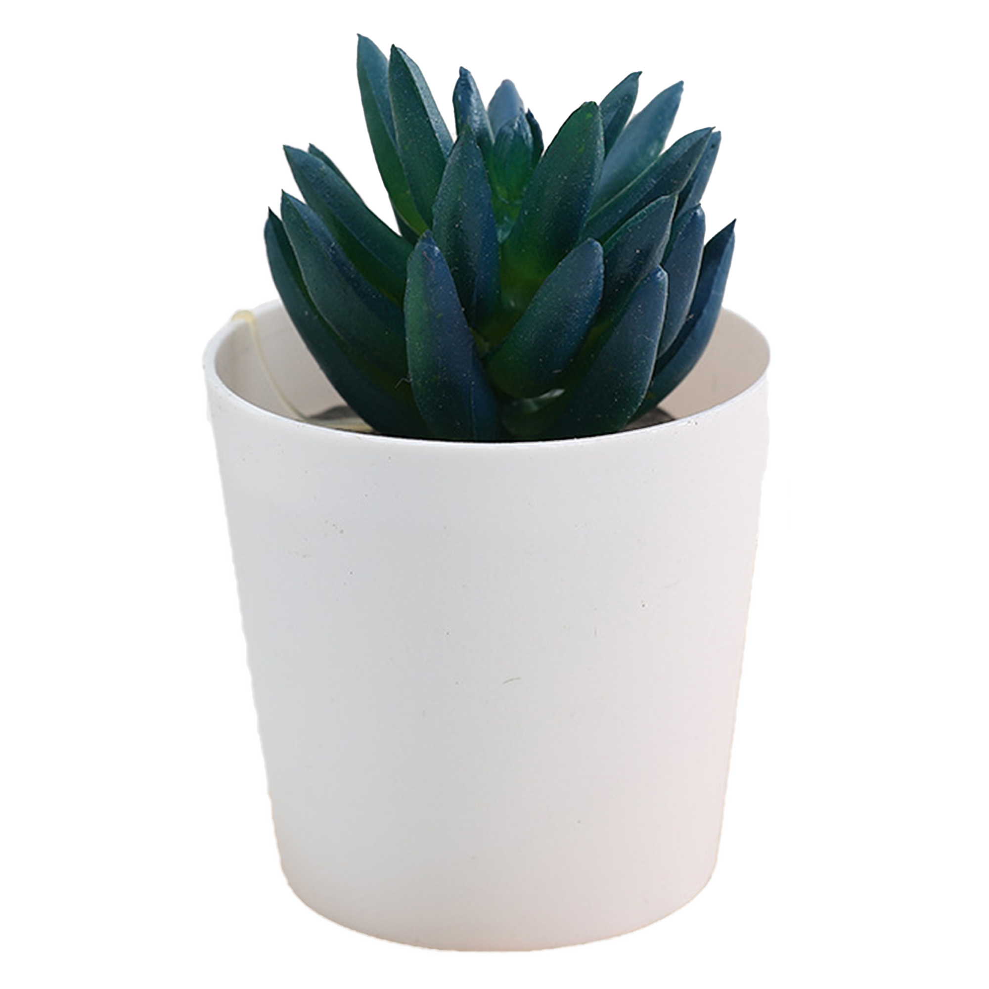 Mini Succulent Potted Plant Set for Home Decor 2