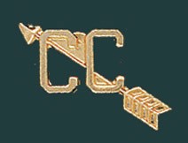 Cross Country Metal Chenille Letter Insignia Pin 2