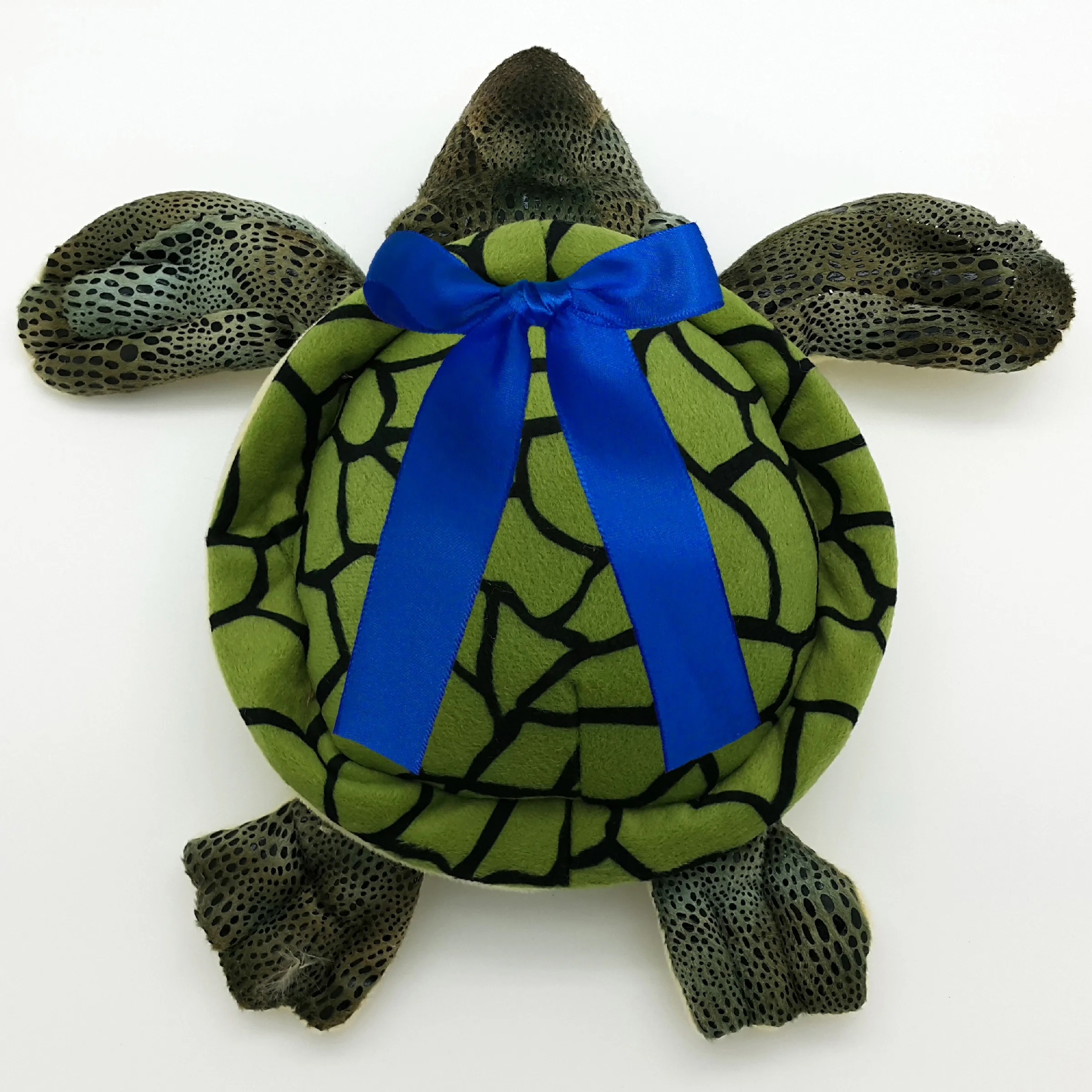 11" Green Sea Turtle 1