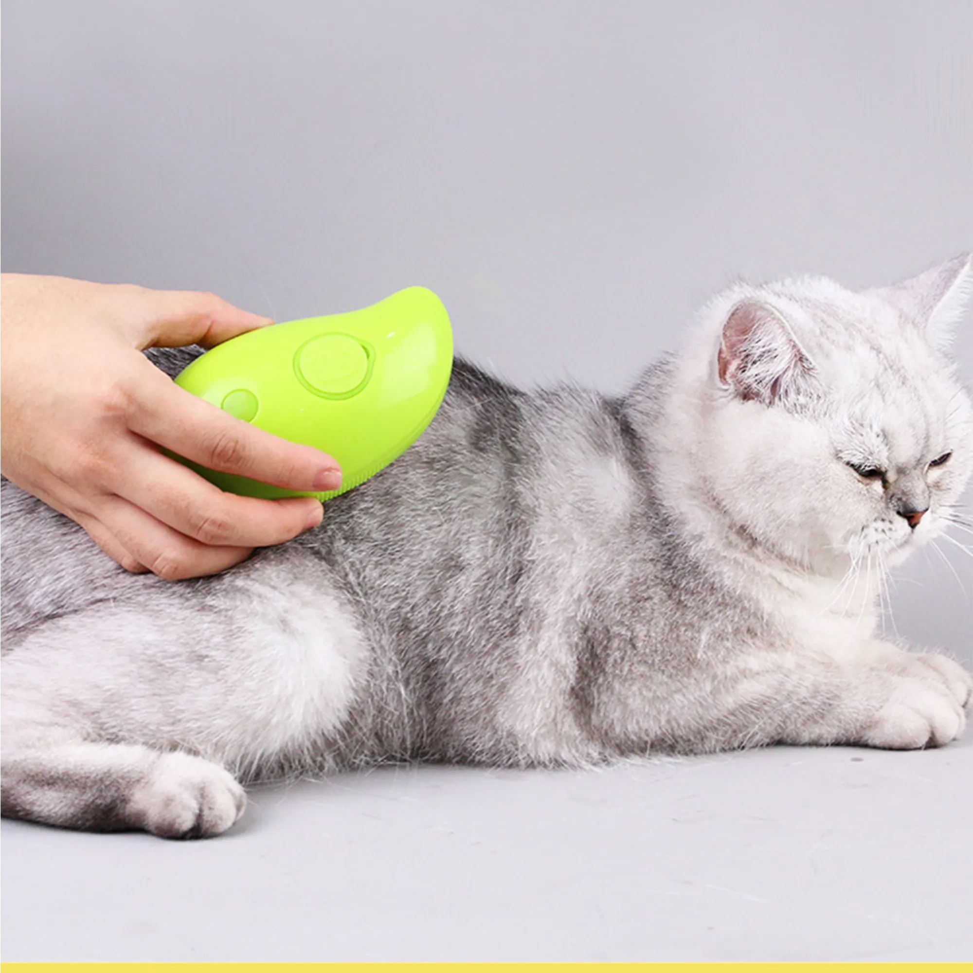 3 In 1 Steamy Pet Cat Brush 2