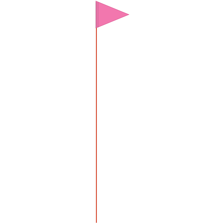 Solid Color Pink Pennant Field Flag w/Orange Staff 4