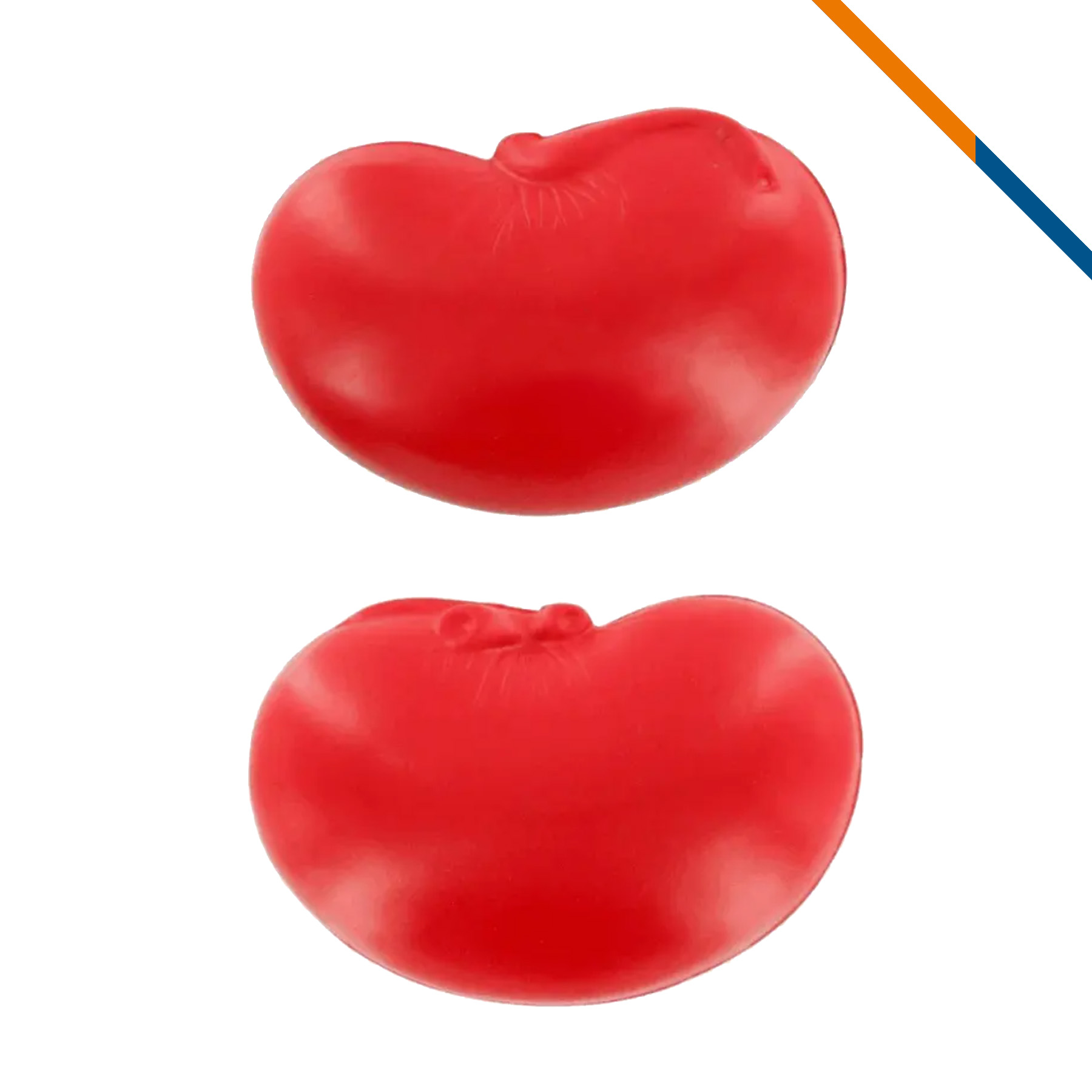 Jolia Kidney Stress Ball 3
