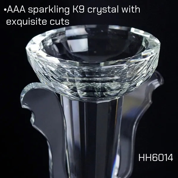 Large Crystal Cup Trophy Award Manufacturer 2