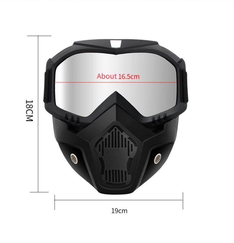 Motorcycle Face Mask 2