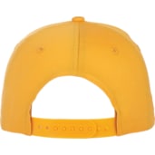 Unisex Composite Ballcap 119