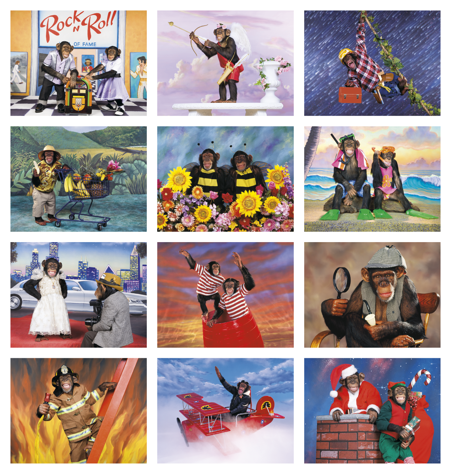 Triumph® Calendars Monkey Business Calendar 9