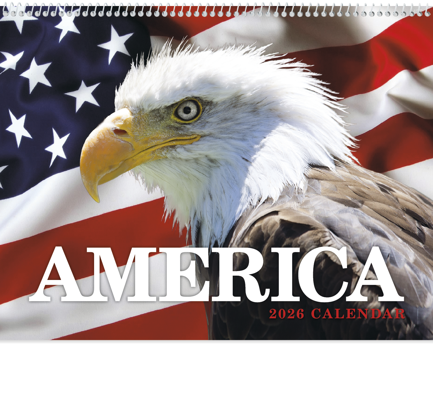 HotLine® Products America Appointment Calendar - Spiral 13