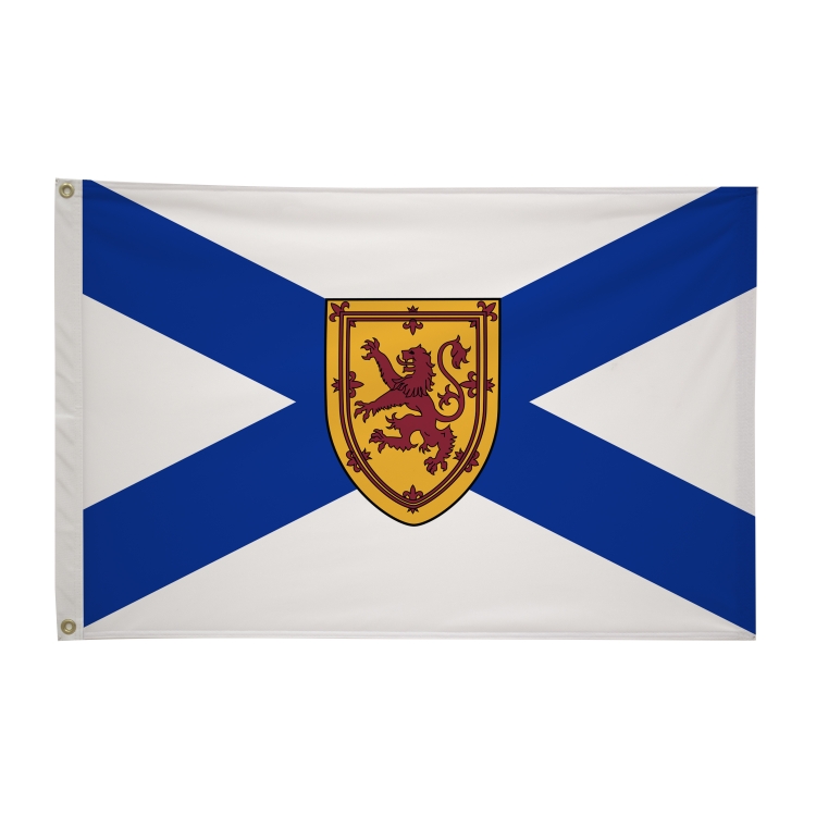 2' x 3'International Flag 289