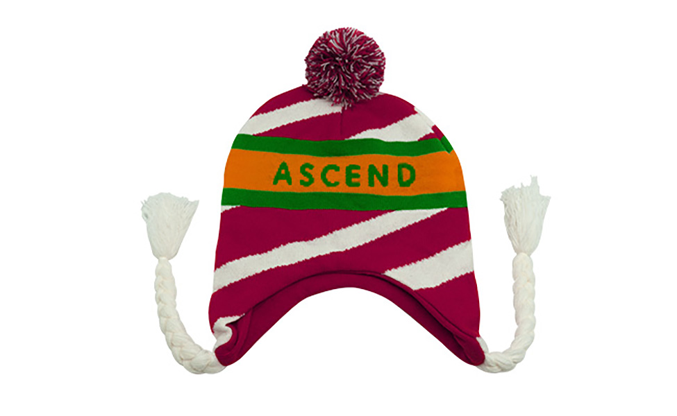 Saver Toboggan Beanie