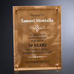 Bronze Alloy Plaque 4