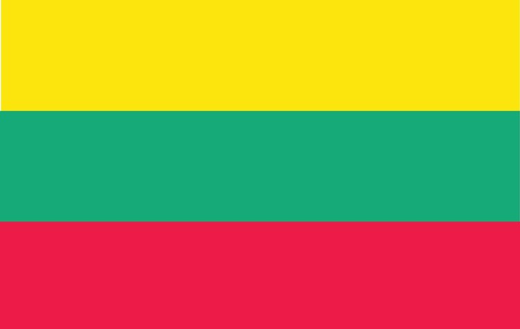 Lithuania Flag - 2' x 3' - Nylon 2