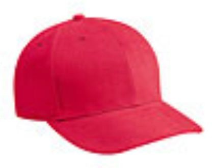 Embroidered Brushed Bull Denim Caps 4