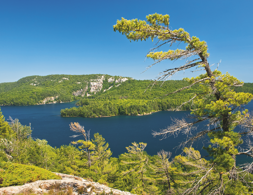 Good Value™ Images of Ontario - Stapled Calendar 5