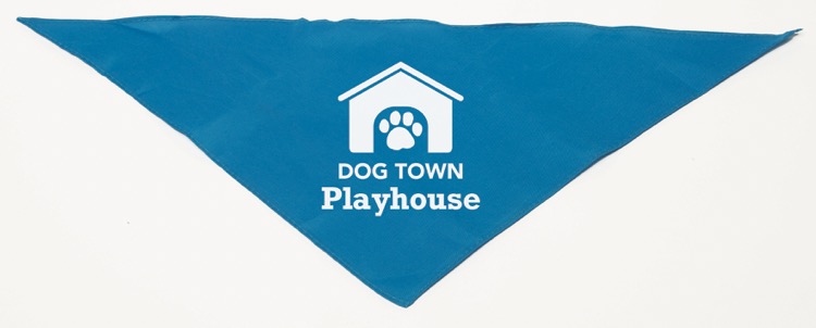 Personalized Small Turquoise/Teal Triangle Pet Bandana
