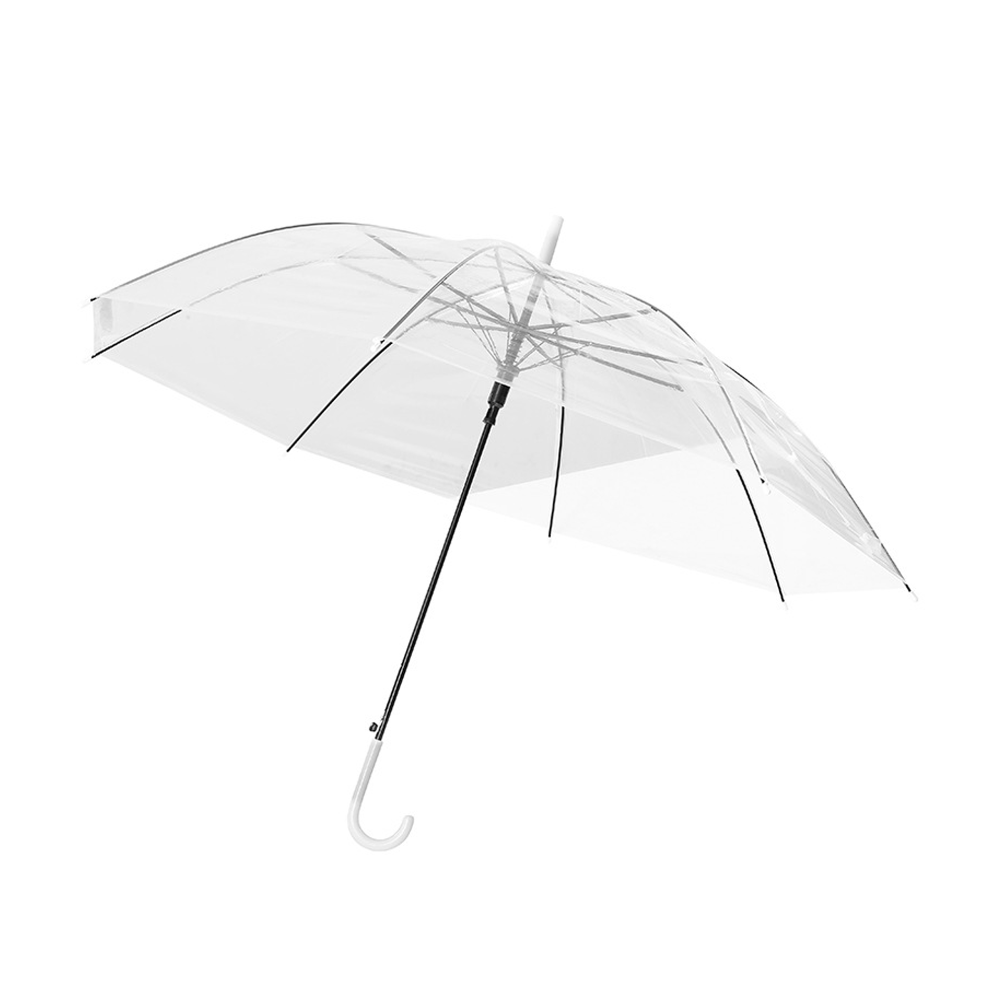 Transparent Umbrella 1