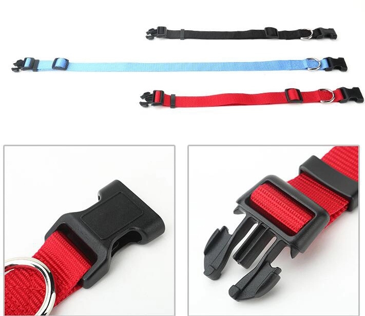 Nylon Dog Collar 5