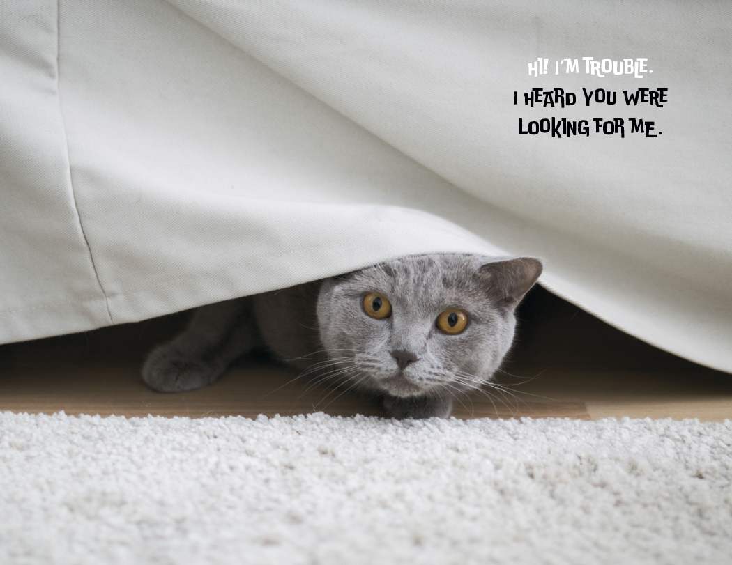 Good Value™ Pets with Attitude - Spiral Calendar 6