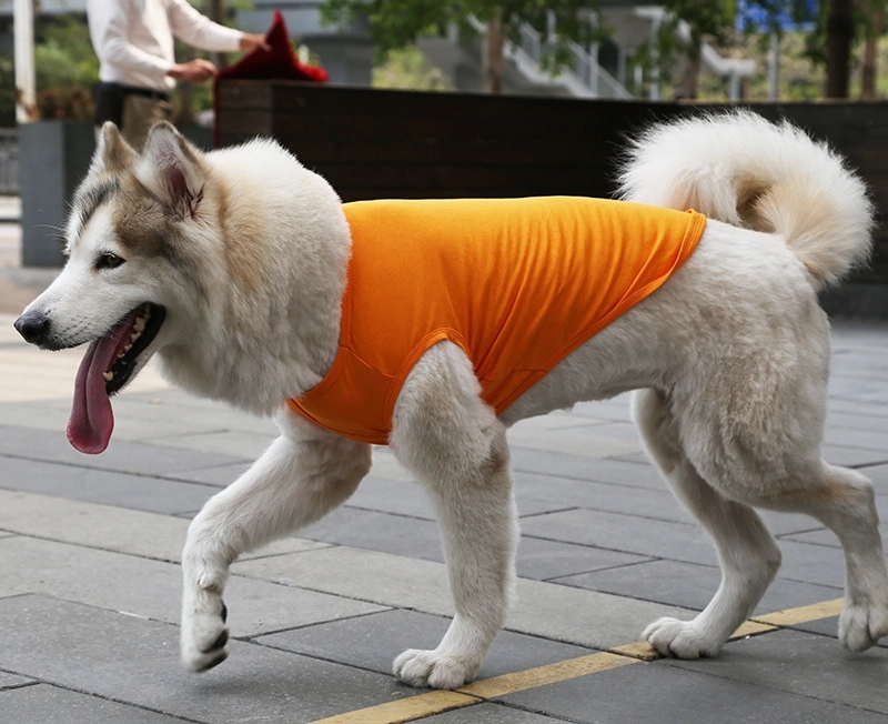 Pet Summer T-Shirts Dog Clothes 8